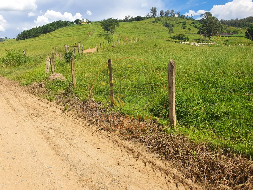 Fazenda à venda - Foto 12