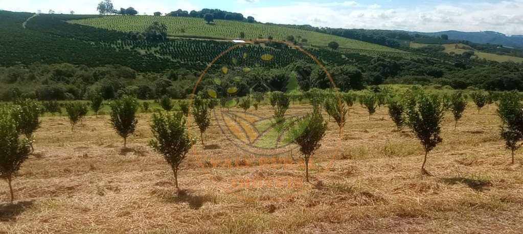 Fazenda à venda - Foto 75