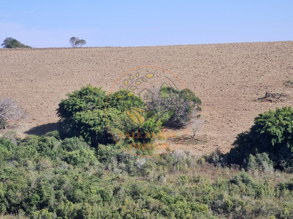 Fazenda à venda - Foto 17