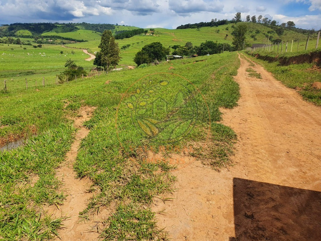 Fazenda à venda - Foto 18