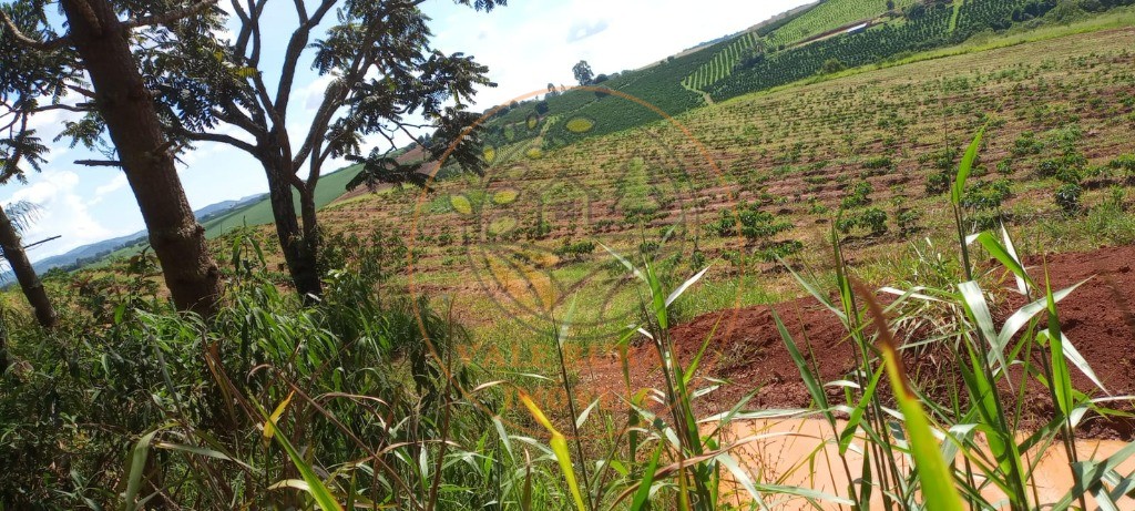 Fazenda à venda - Foto 87