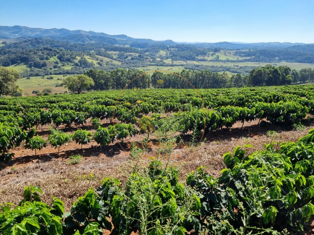 Fazenda à venda - Foto 1