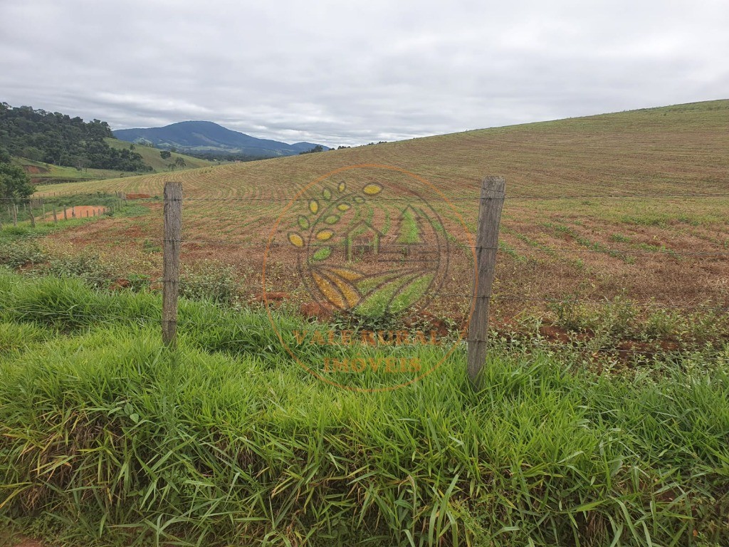 Fazenda à venda com 2 quartos - Foto 6