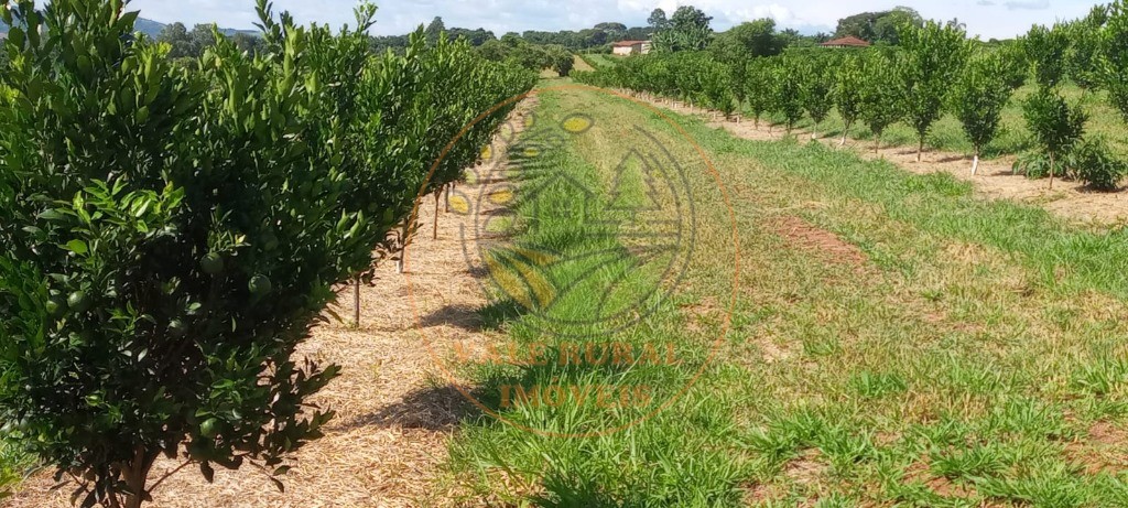 Fazenda à venda - Foto 38