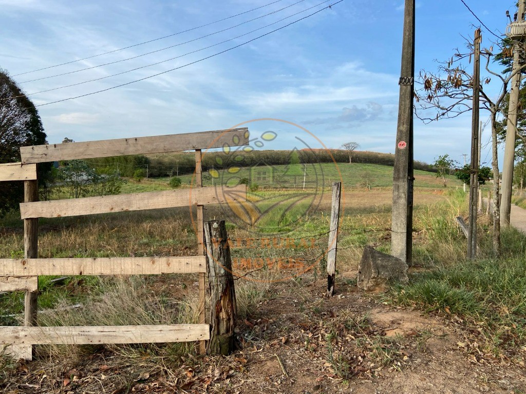 Haras e Área Rural Padrão à venda - Foto 15