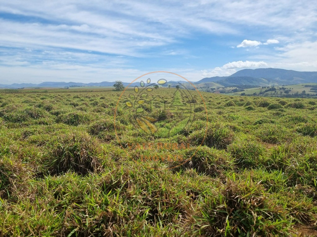 Fazenda à venda - Foto 1