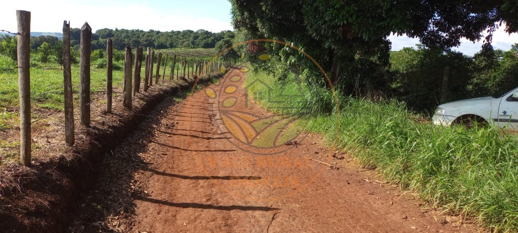 Fazenda à venda - Foto 19