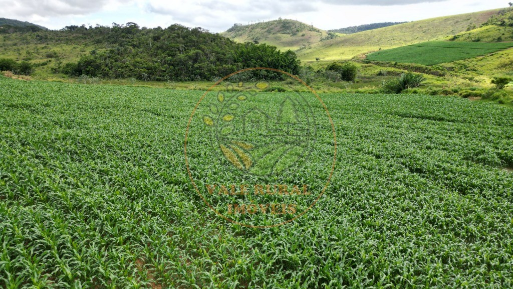 Fazenda à venda - Foto 17