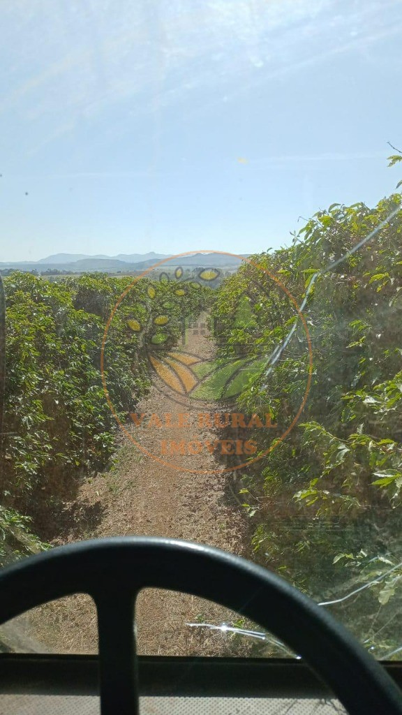 Fazenda à venda - Foto 5