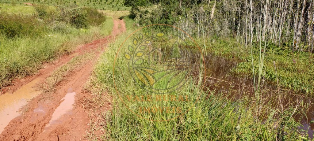 Fazenda à venda - Foto 68