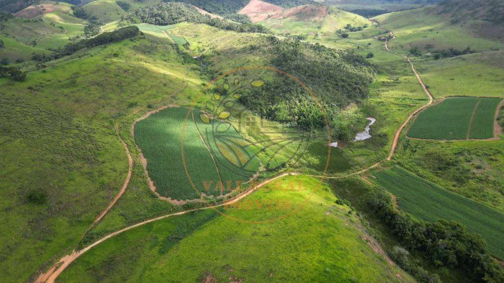 Fazenda à venda - Foto 13