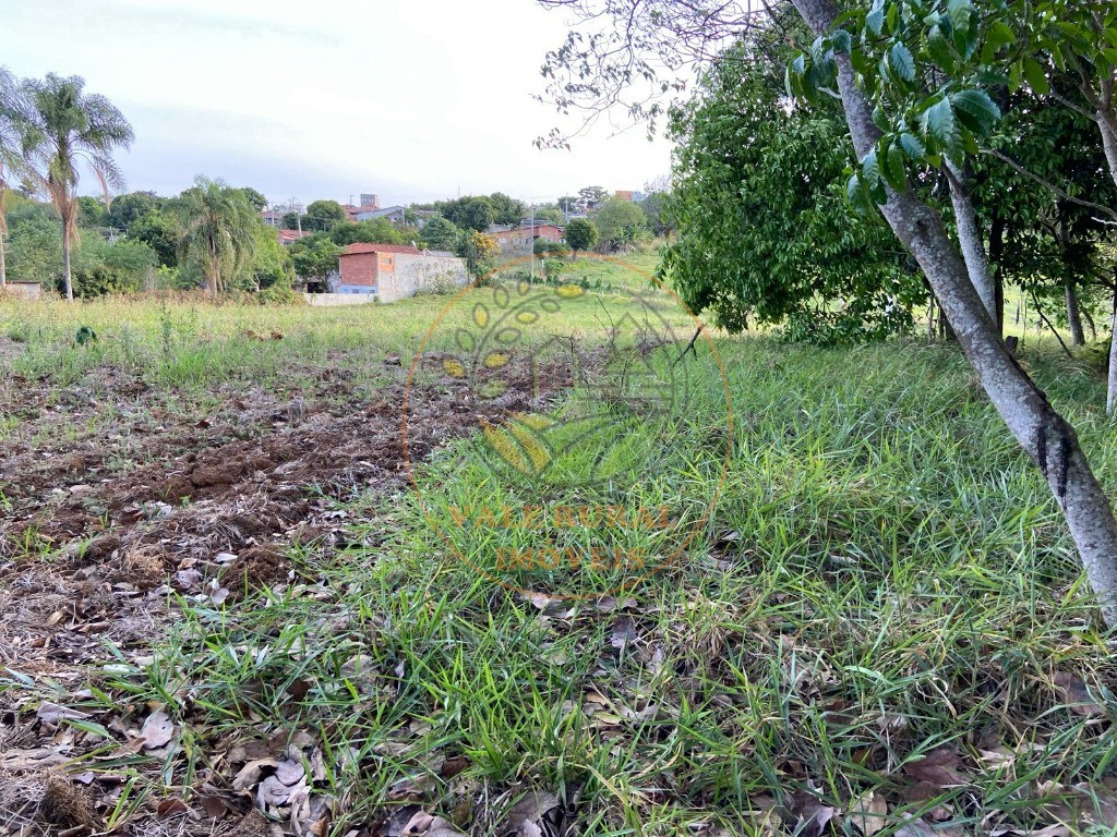 Haras e Área Rural Padrão à venda - Foto 8