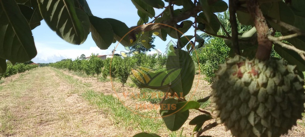 Fazenda à venda - Foto 64