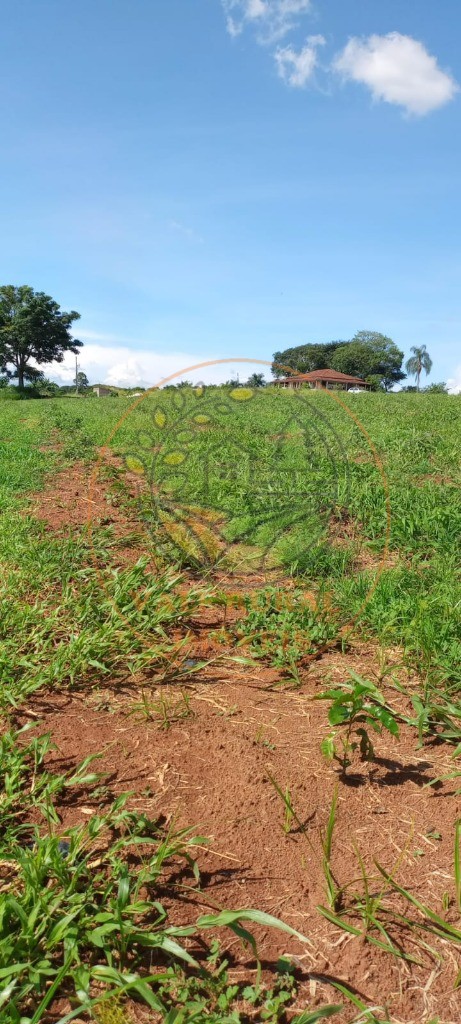 Fazenda à venda - Foto 56