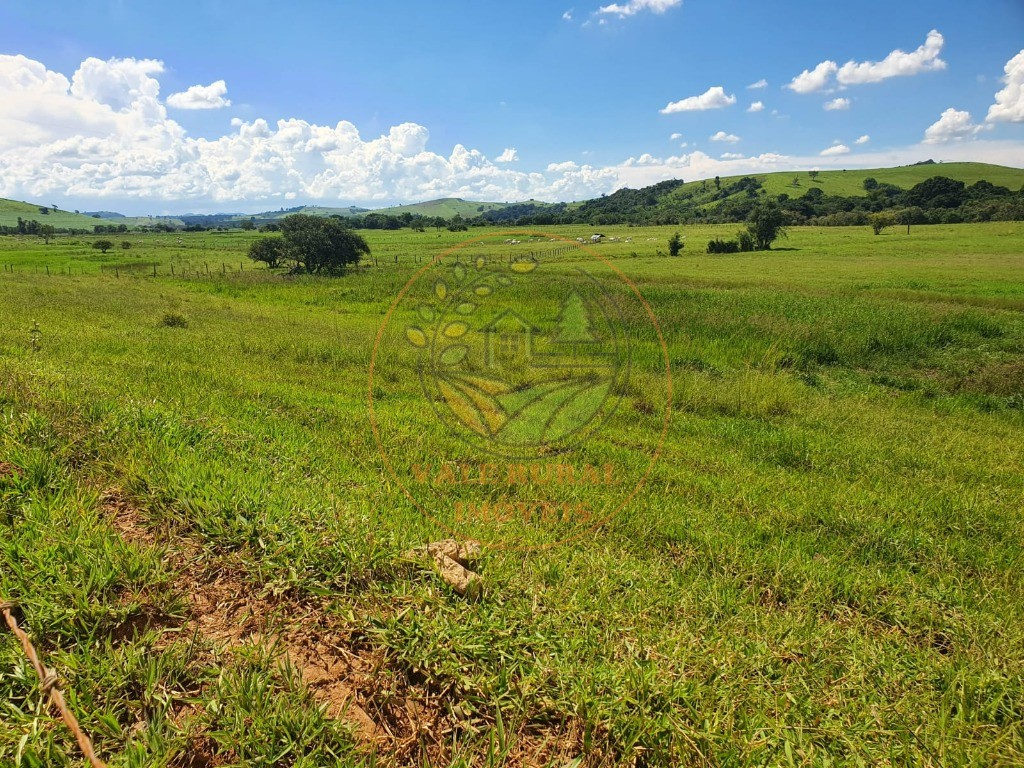 Fazenda à venda - Foto 16