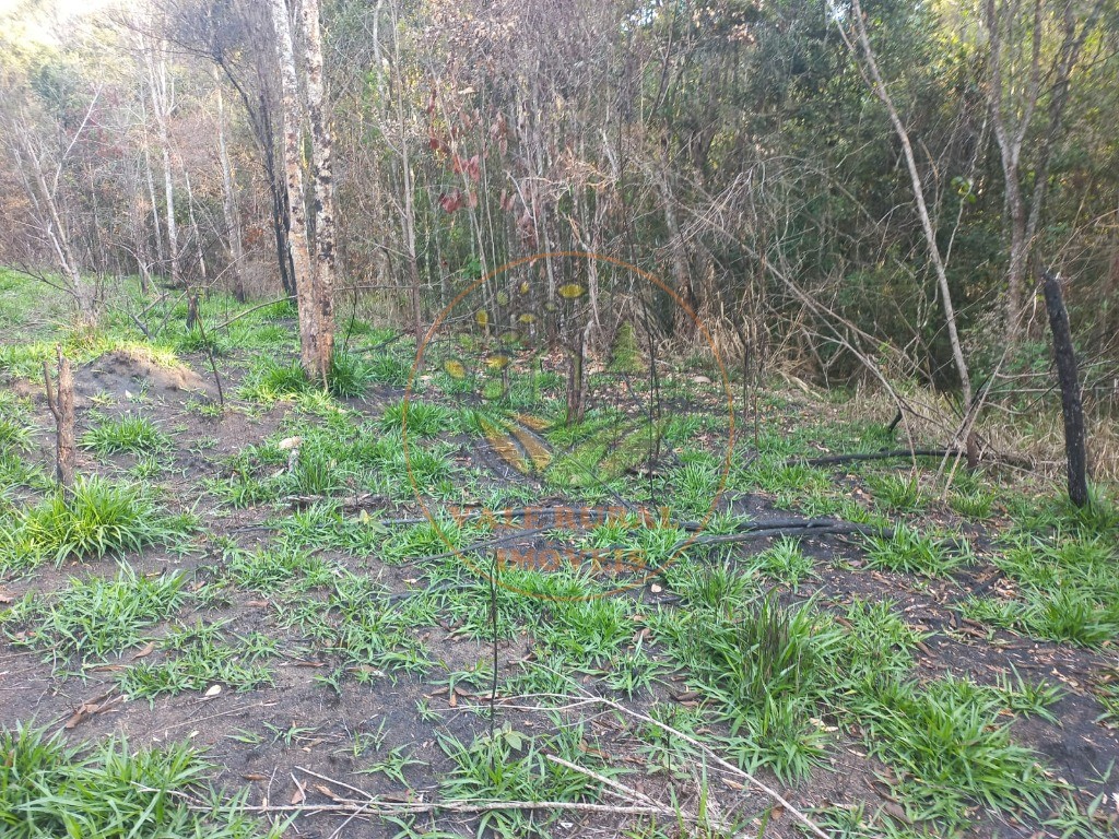 Haras e Área Rural Padrão à venda - Foto 6