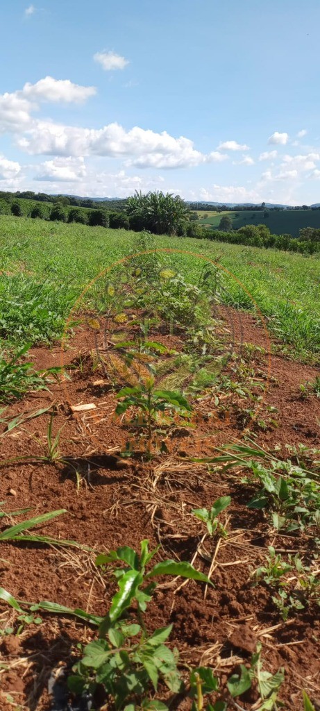 Fazenda à venda - Foto 51