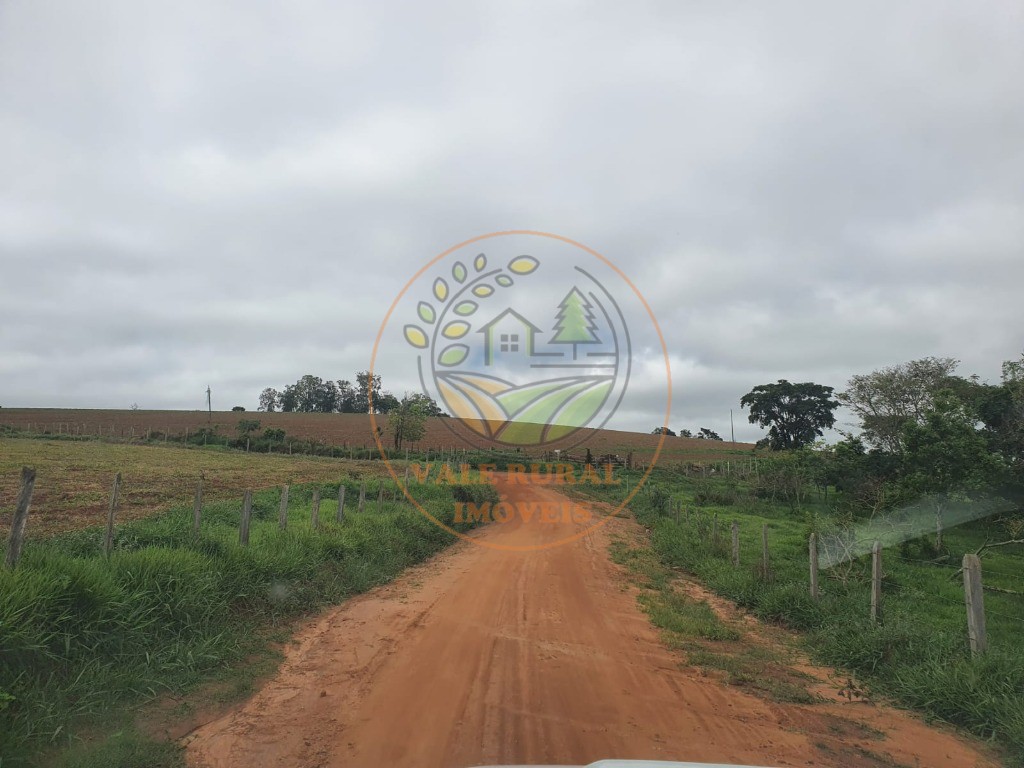 Fazenda à venda com 2 quartos - Foto 10