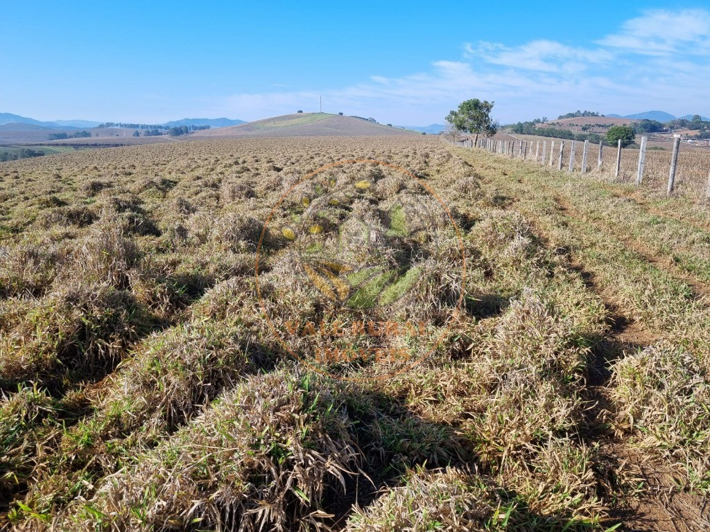 Fazenda à venda - Foto 21