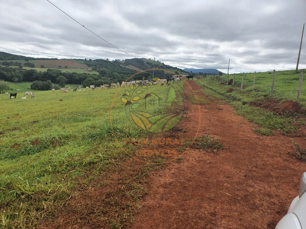 Fazenda à venda com 2 quartos - Foto 9