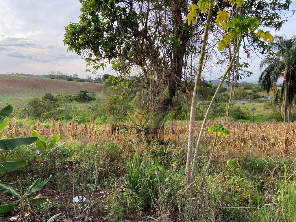 Haras e Área Rural Padrão à venda - Foto 6