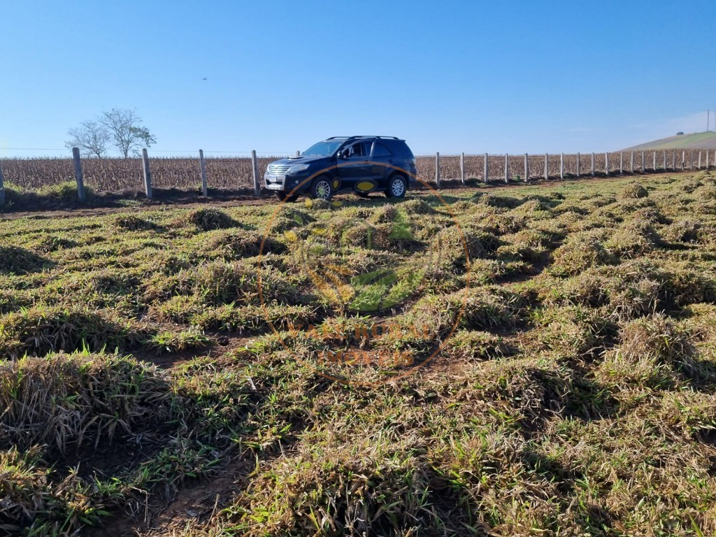 Fazenda à venda - Foto 22