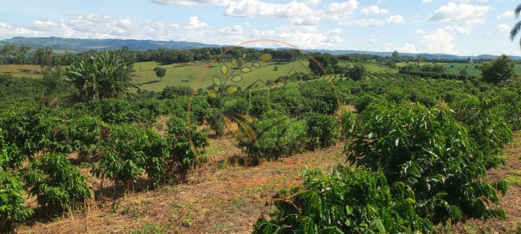 Fazenda à venda - Foto 77