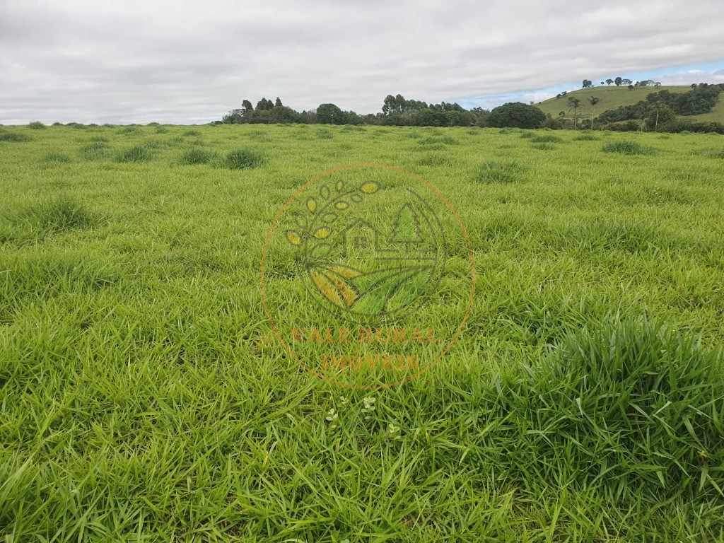 Fazenda à venda com 2 quartos - Foto 4