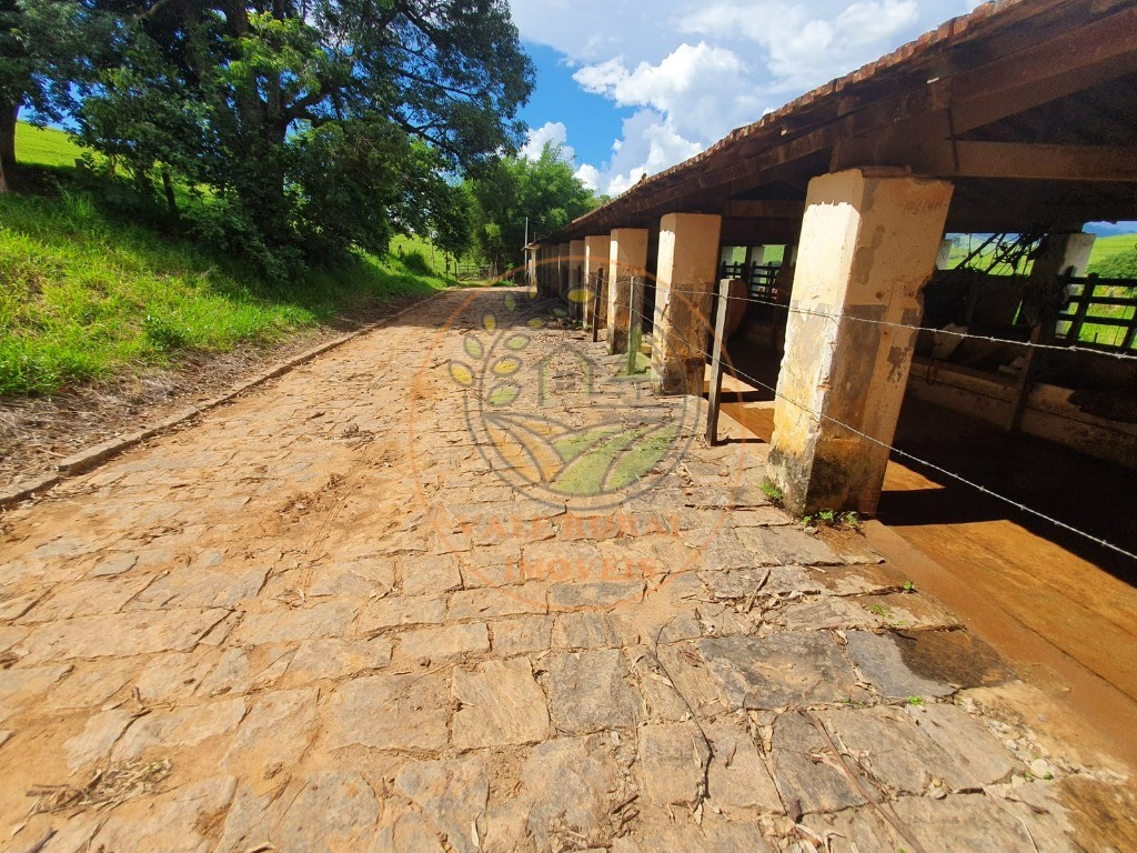 Fazenda à venda - Foto 7