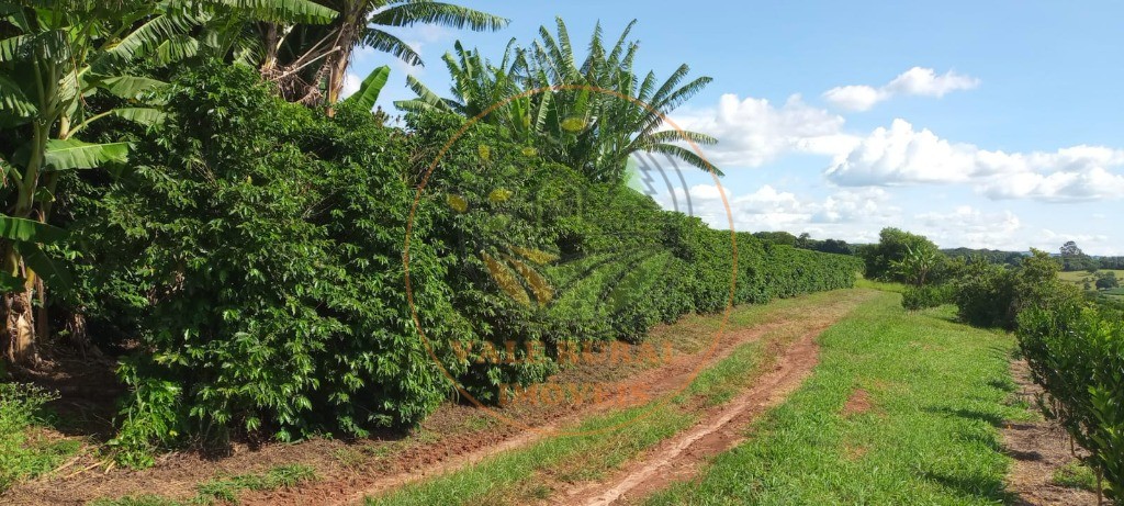 Fazenda à venda - Foto 42