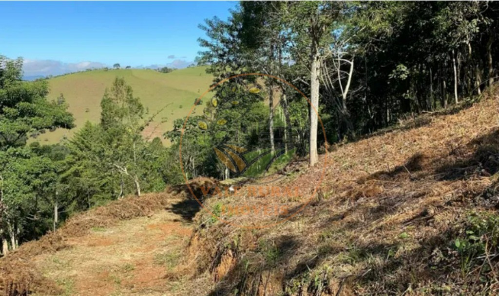 Haras e Área Rural Padrão à venda - Foto 3