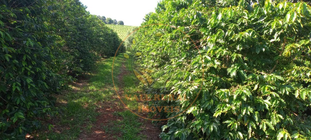 Fazenda à venda - Foto 10