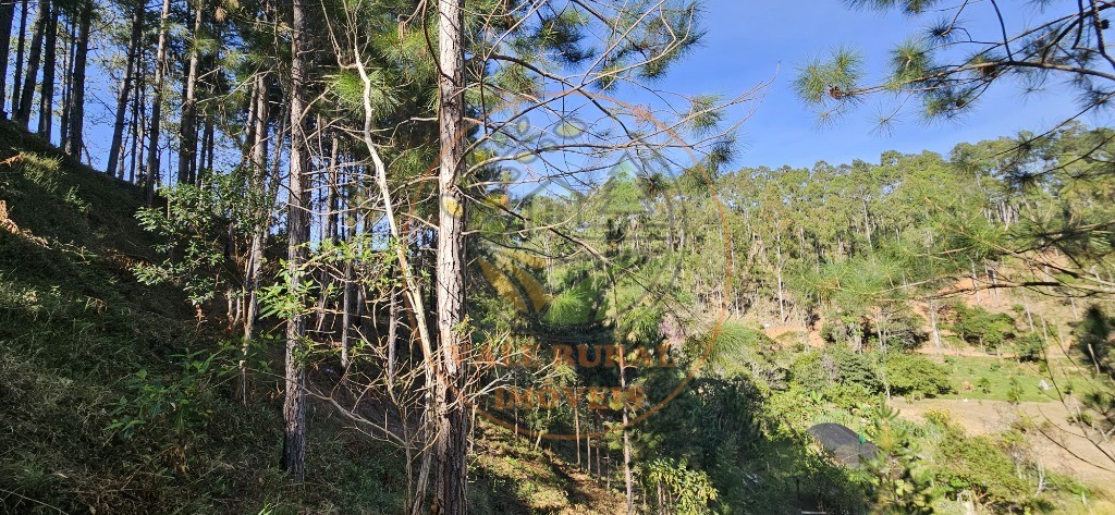 Sítio, 8 quartos - Foto 34