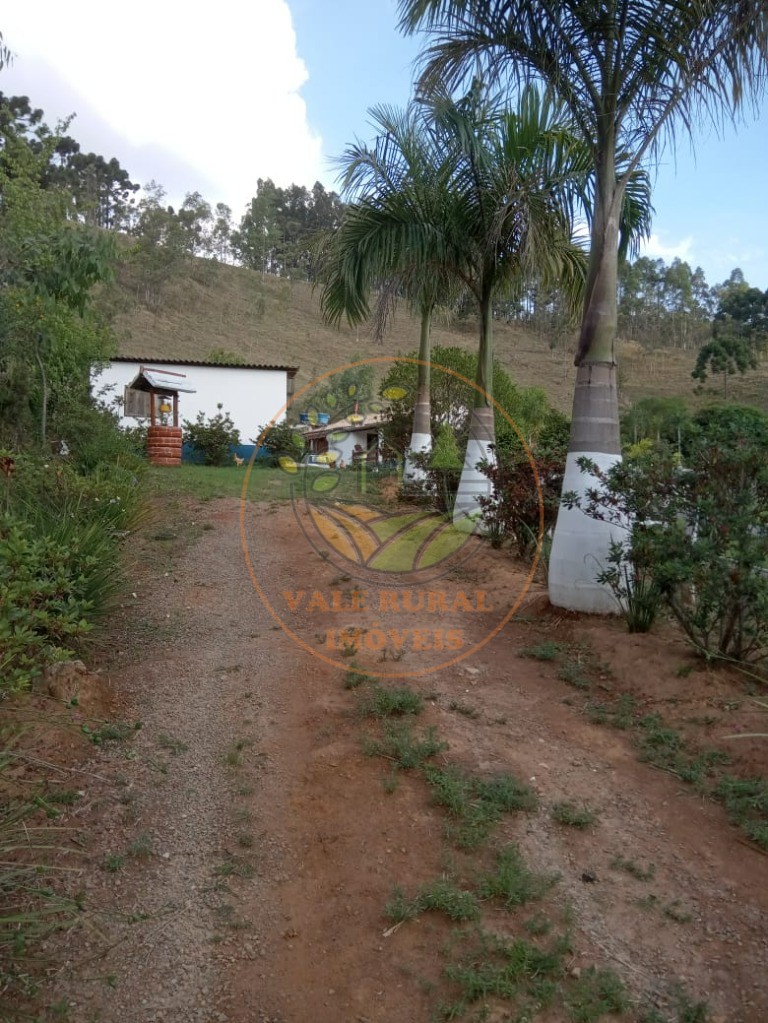 Sítio à venda com 3 quartos - Foto 43