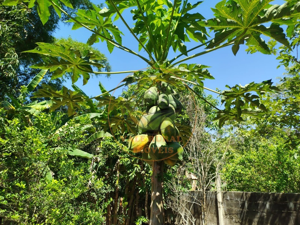 Chácara à venda com 3 quartos - Foto 50