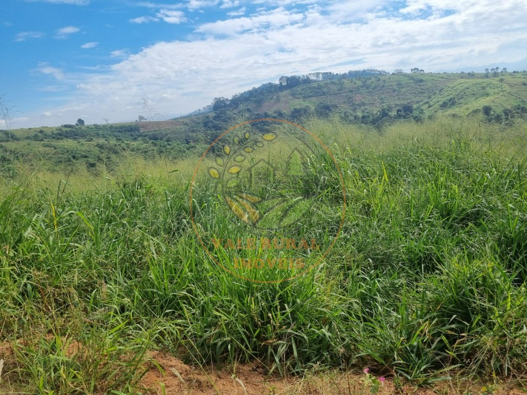 Fazenda à venda - Foto 19