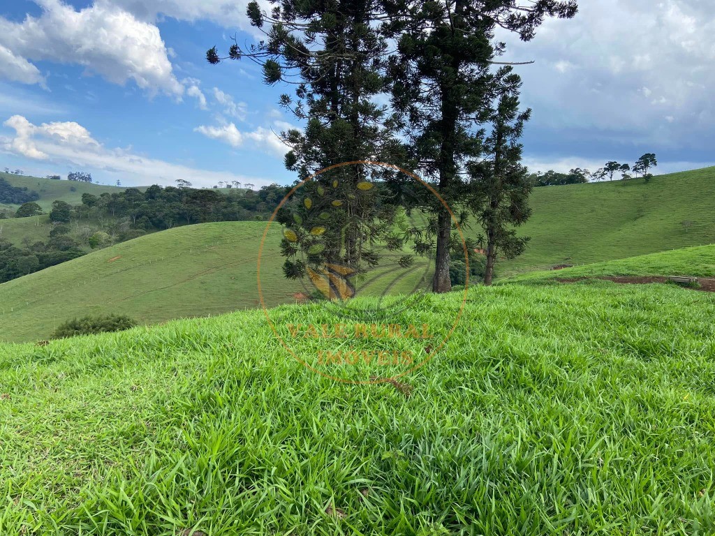 Haras e Área Rural Padrão à venda - Foto 4