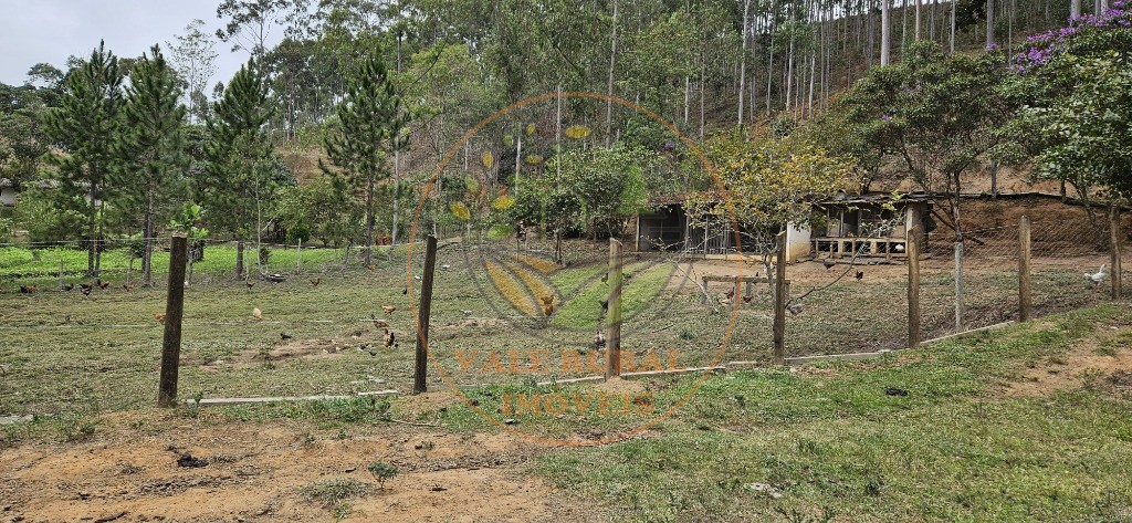 Sítio, 8 quartos - Foto 40