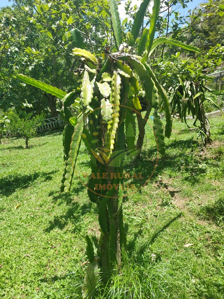 Chácara à venda - Foto 49