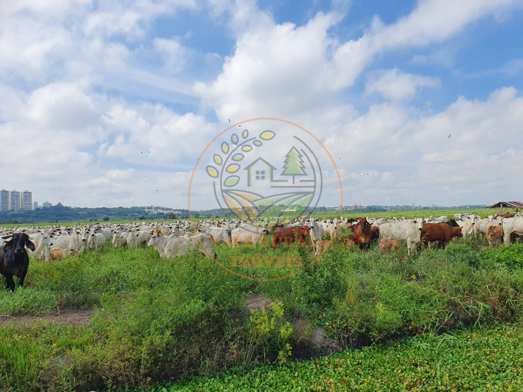 Fazenda à venda - Foto 3