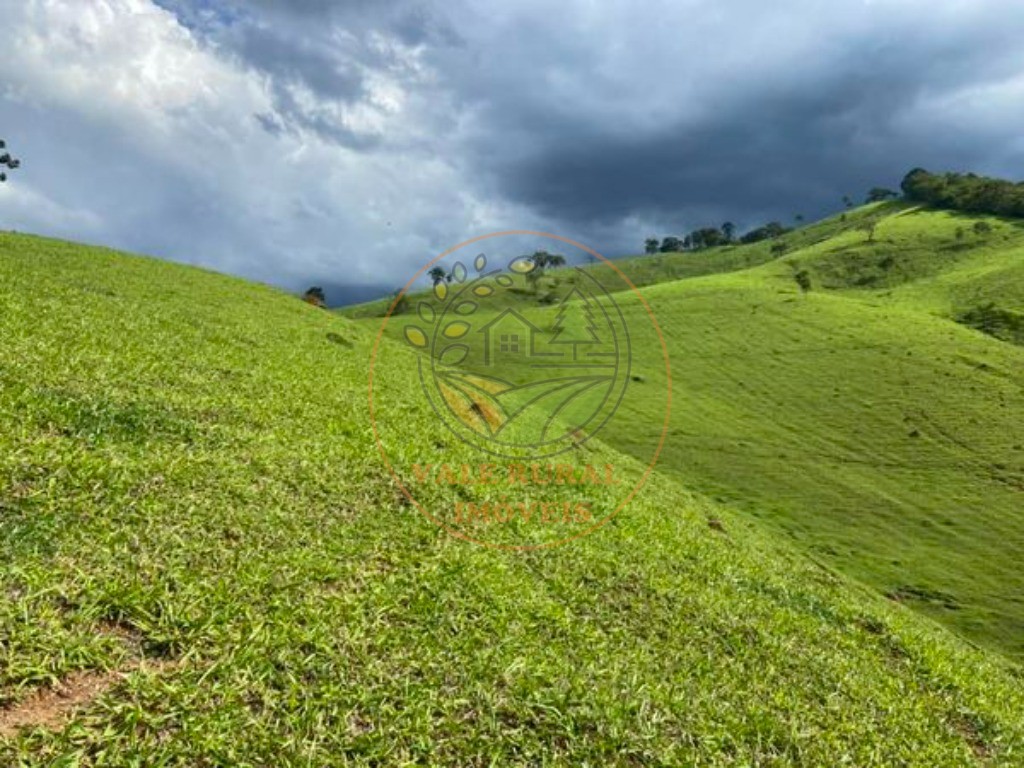 Haras e Área Rural Padrão à venda - Foto 12