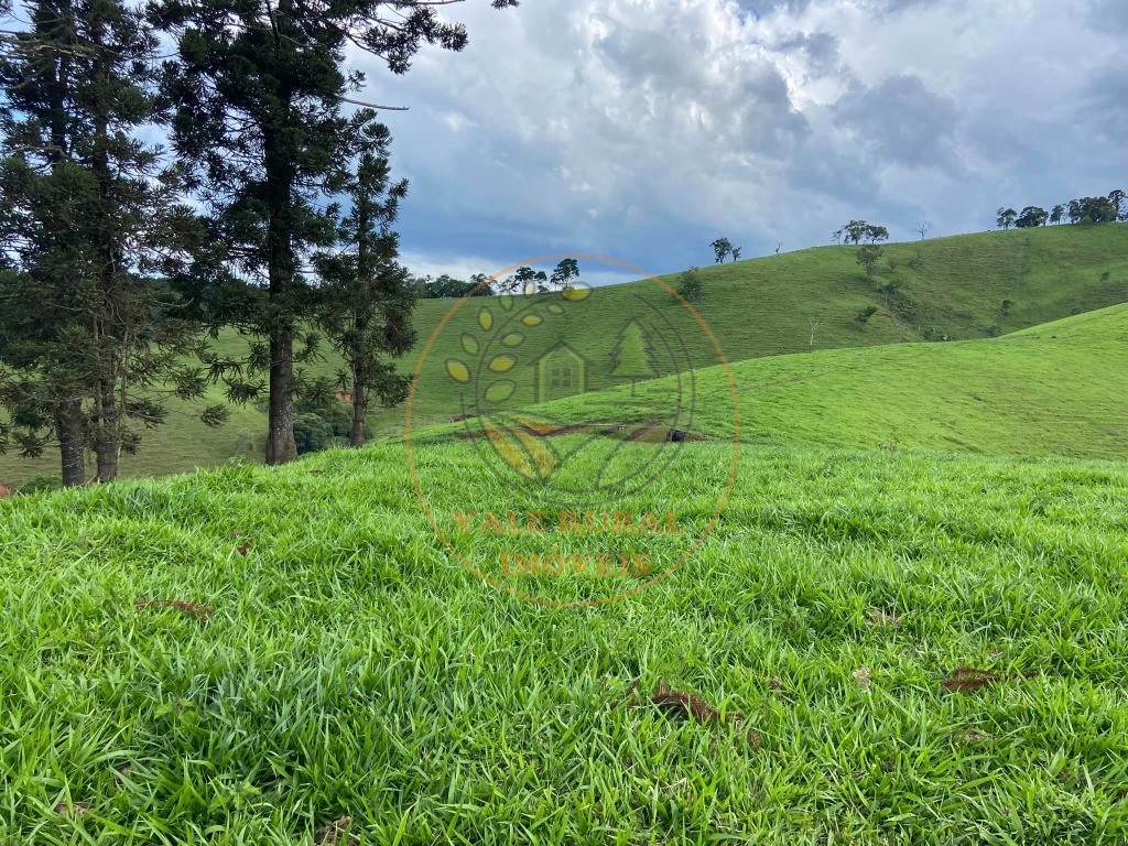 Haras e Área Rural Padrão à venda - Foto 1