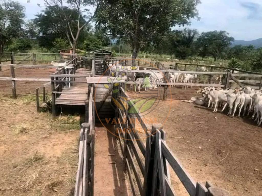 Fazenda à venda - Foto 6