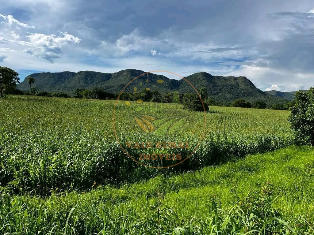 Fazenda à venda - Foto 4