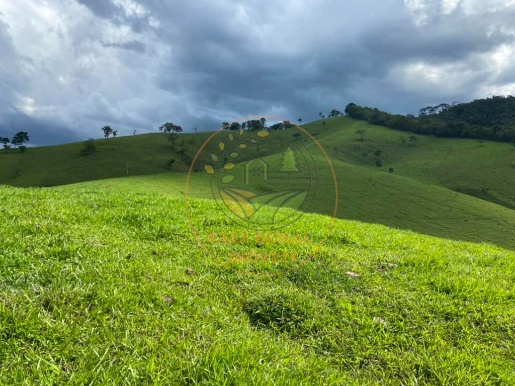 Haras e Área Rural Padrão à venda - Foto 9