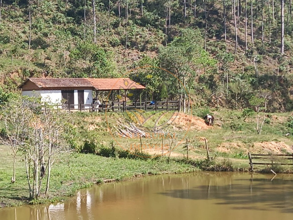 Sítio, 8 quartos - Foto 2