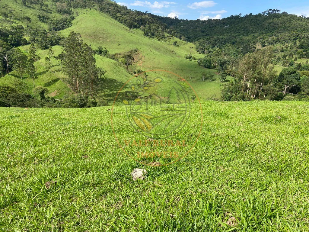 Haras e Área Rural Padrão à venda - Foto 10