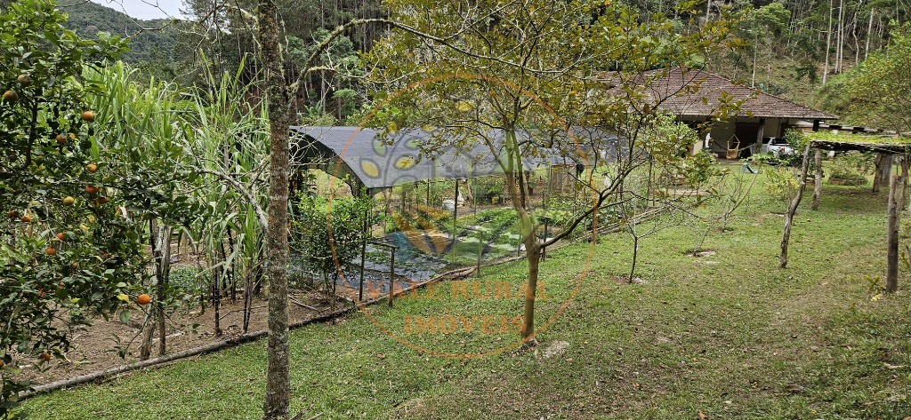 Sítio, 8 quartos - Foto 14