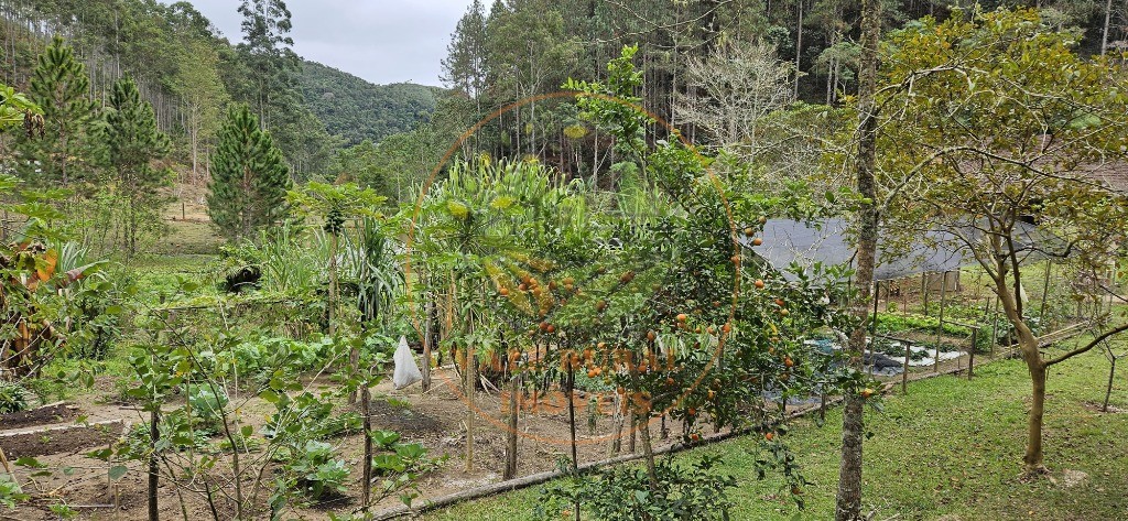 Sítio, 8 quartos - Foto 16