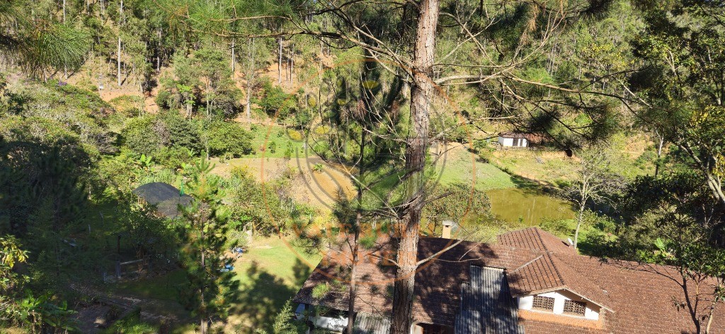 Sítio, 8 quartos - Foto 17